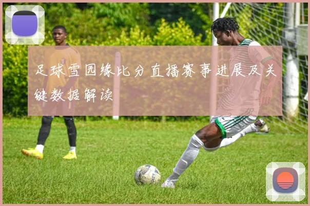 足球雪园缘比分直播赛事进展及关键数据解读
